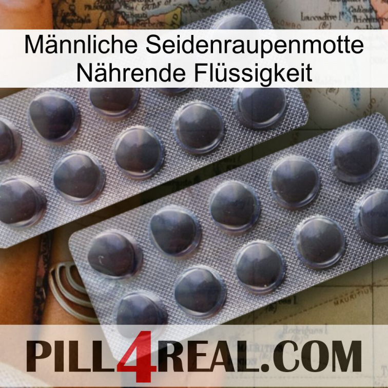 Männliche Seidenraupenmotte Nährende Flüssigkeit 31